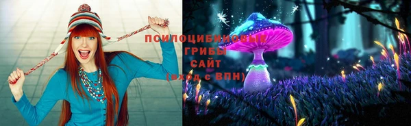 бошки Мегион