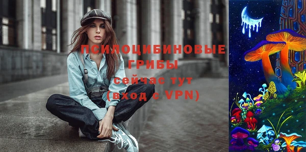 бошки Мегион