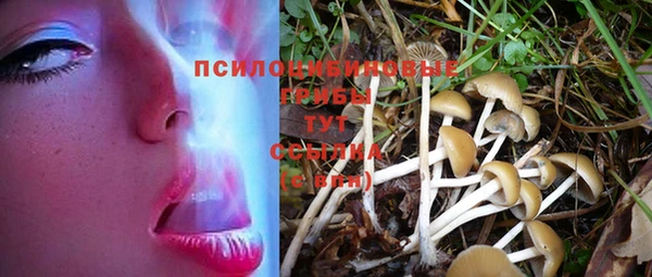 круглые Медвежьегорск