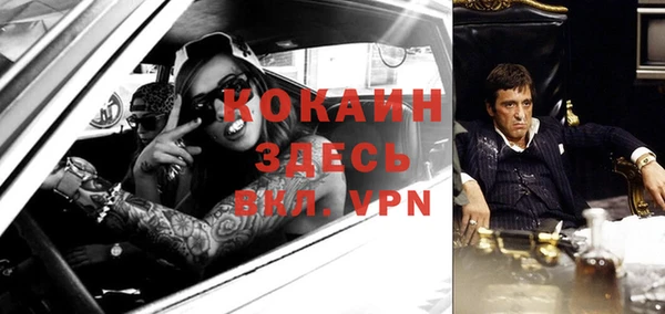 бошки Мегион