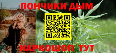 альфа пвп Заводоуковск