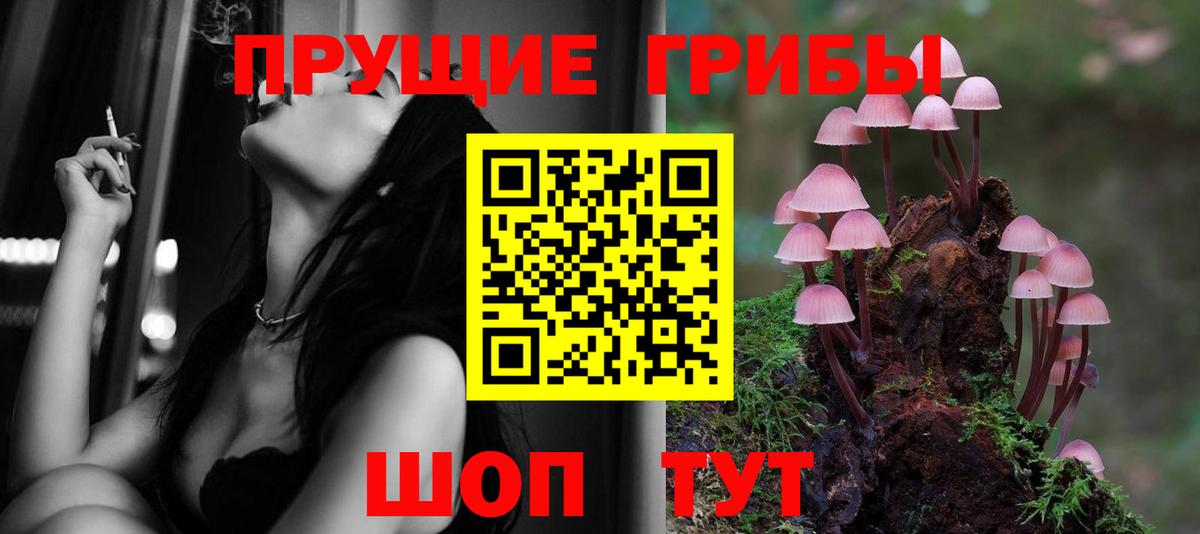 Галлюциногенные грибы MAGIC MUSHROOMS  Вход с VPN  Тихвин 