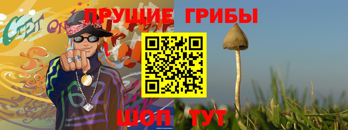 Псилоцибиновые грибы GOLDEN TEACHER Тихвин